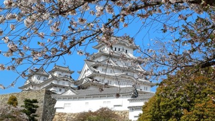 “Reisverslag - Impressie van 25 dagen Japan” door Stef Piedfort.